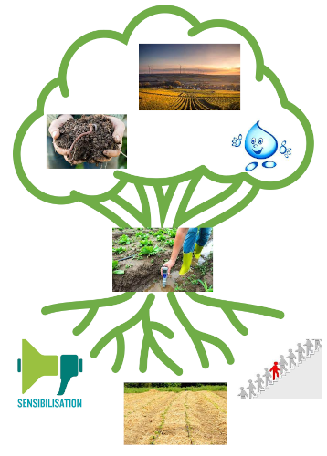 solution tree
